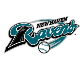 New Haven Ravens