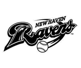 New Haven Ravens