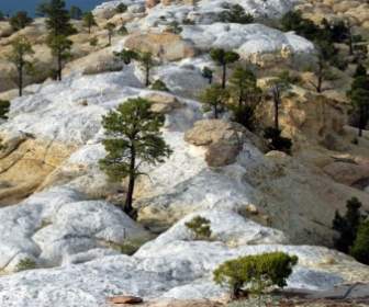 Rocas De Paisaje De Nuevo México
