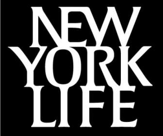 纽约的生活标志