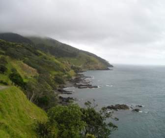 紐西蘭海岸綠色