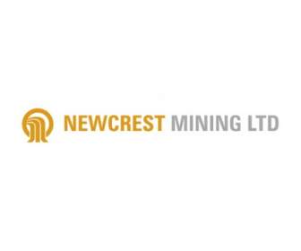 Newcrest 採礦