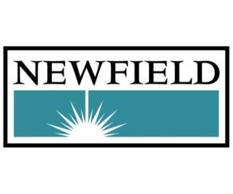 Exploração NewField