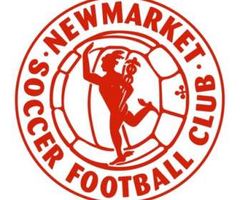 Klub Piłkarski Piłka Nożna Newmarket