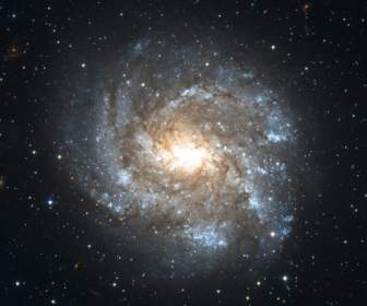 Schwertfisch De Constellation Galaxie Spirale NGC Barré