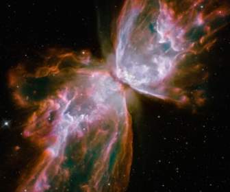 Nevoeiro Planetária Da NGC Besouro Nevoeiro