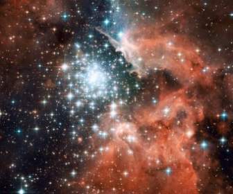 NGC Nebulosa De Emisión Constelación Kiel El Barco S