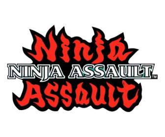 Ninja-Angriff