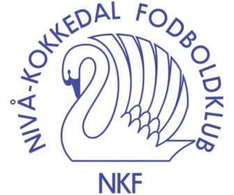 니바 Kokkedal Fk