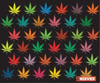 Nixvex Vetor Livre De Folhas Coloridas