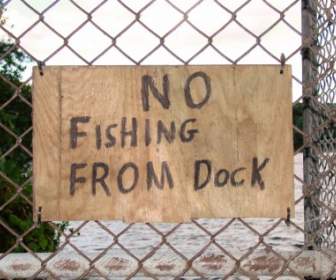 ไม่ตกปลา