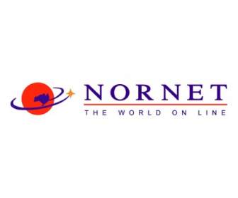 Layanan Internet Nornet
