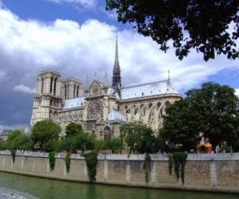 Cattedrale Di Notre Dame Parigi