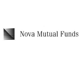Nova 互助基金