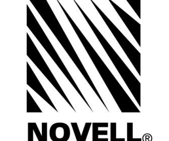 Novell 公司