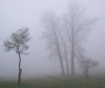 Nebbia Di Novembre