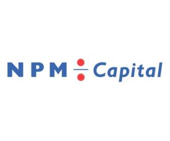 NPM капитал