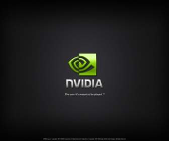 NVIDIA Ordinateurs De Microsoft Logo Fond D'écran Nvidia