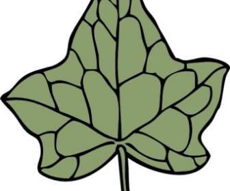 Oak Ivy Leaf Clip Art