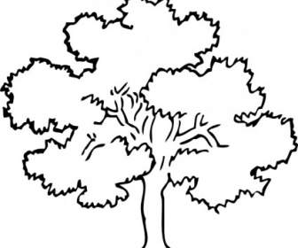 樫の木のクリップアート