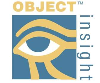 Object Insight