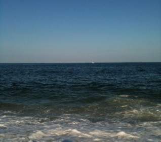 Ocean Silhouette