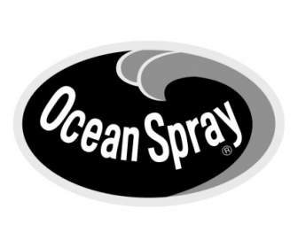 Okyanus Sprey
