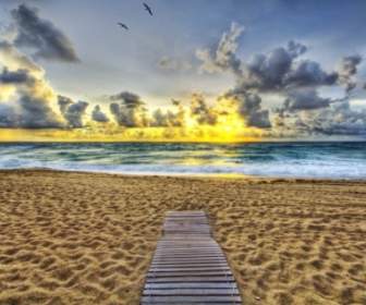Ocean Sunset Wallpaper Beaches Nature