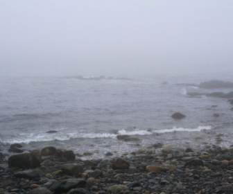 Oceanrocks Im Nebel