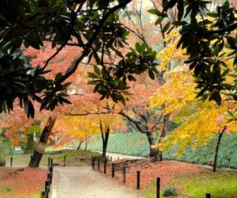 สวนโอคายามะประเทศญี่ปุ่น