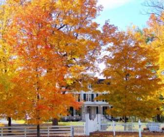 秋の木々 の古い家