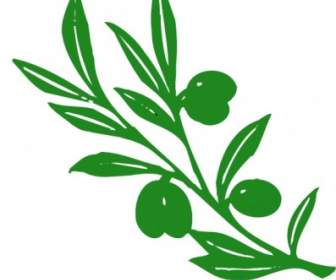 Olive Tree Branch Clip Art