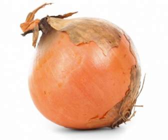 Onion Isolated