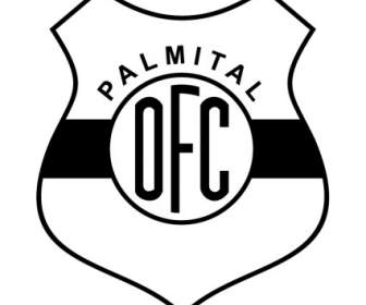 Operario Futebol 柱 De Palmital Sp