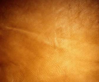 خلفية برتقالية اللون سلسلة من الصورة هايديفينيشن