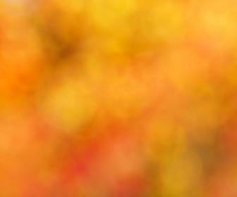 Yellow Blurred Background-orange-free Photos Free Download