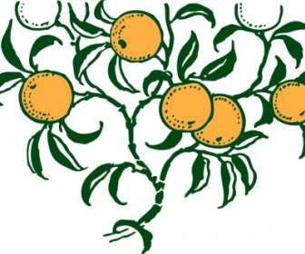 Orange Branch Clip Art