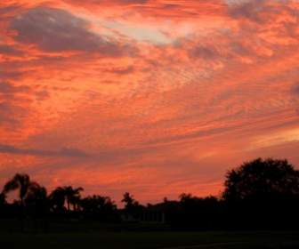 Orange Florida Sunset