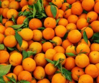 Patrón De Frutas Naranja