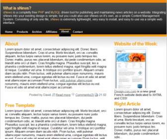 橙色网页模板
