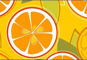 Combinación De Naranjas Del Vector
