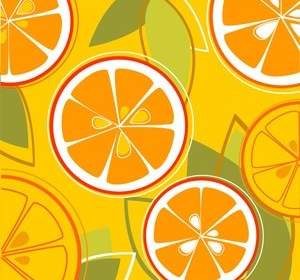 Oranges Combine Vector Background