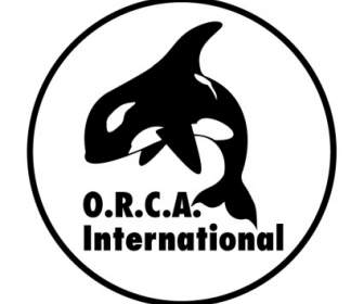 Orca международных