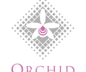 Orchidée Biosciences