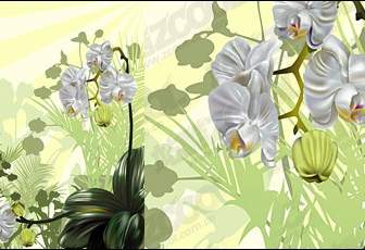 Orchidee Vektor-Illustration-material