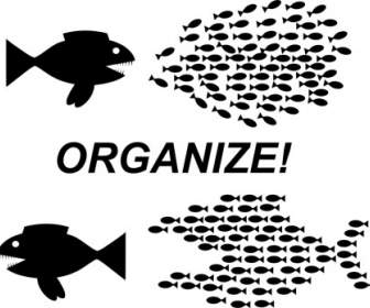 Organisieren