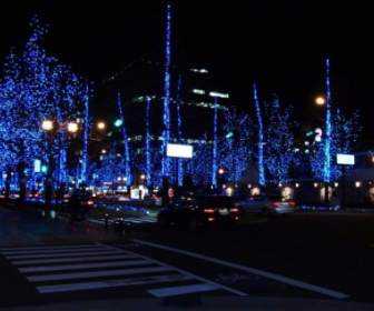 Noite Do Japão Osaka