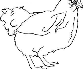 مخطط الدجاج قصاصة فنية