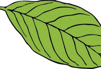 타원형 잎 클립 아트