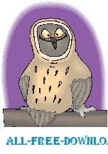 Owl Happy
